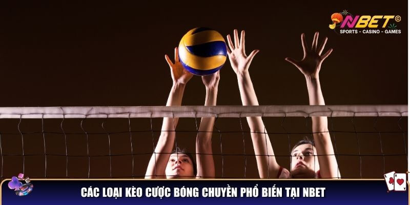 Khám phá bóng chuyền – Luật chơi, kỹ thuật và sự hấp dẫn 3 Các loại kèo cược bóng chuyền phổ biến tại NBET
