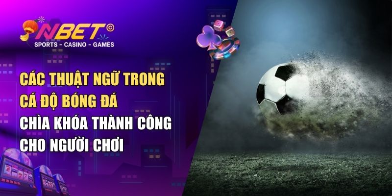 Các thuật ngữ trong cá độ bóng đá – Chìa khóa thành công cho người chơi